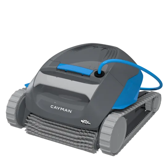 Dolphin Cayman