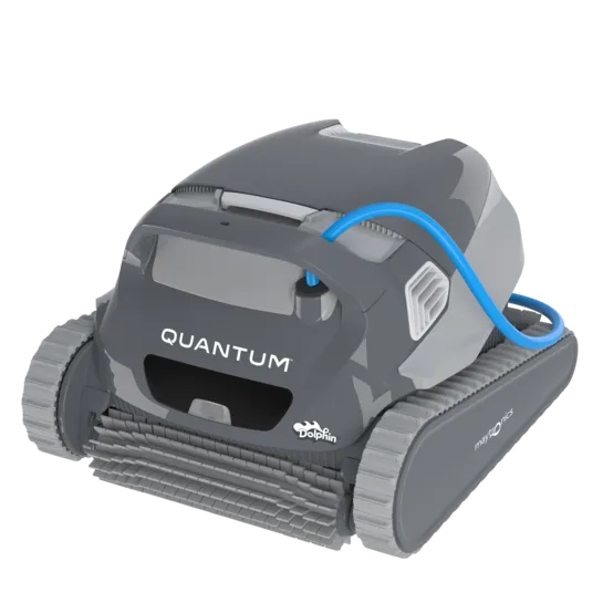 Dolphin Quantum